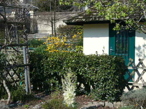Jardin_catherine_labouré